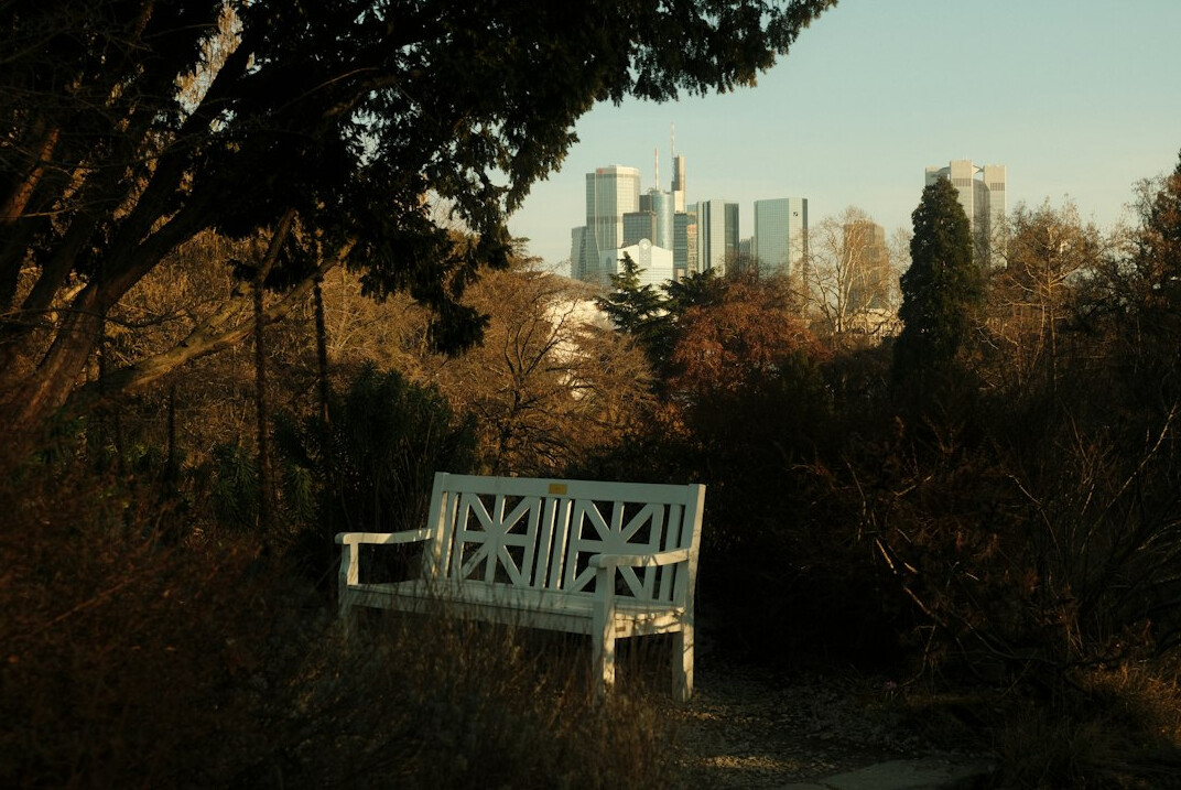 abandoned city park bench